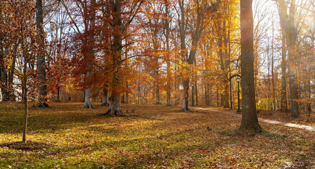 hanlin-sun-J1hBZ9GC0ws-unsplash