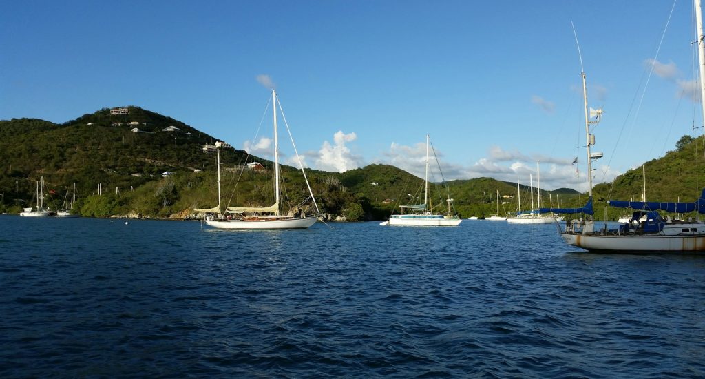 karl-callwood-S17o6vDOfr8-unsplash