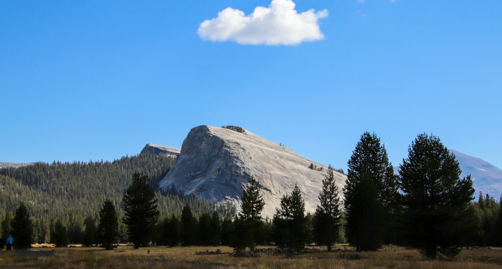 megan-clark-VeCrDmP-TMM-unsplash